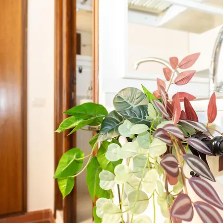 Antuela Pantheon דירה